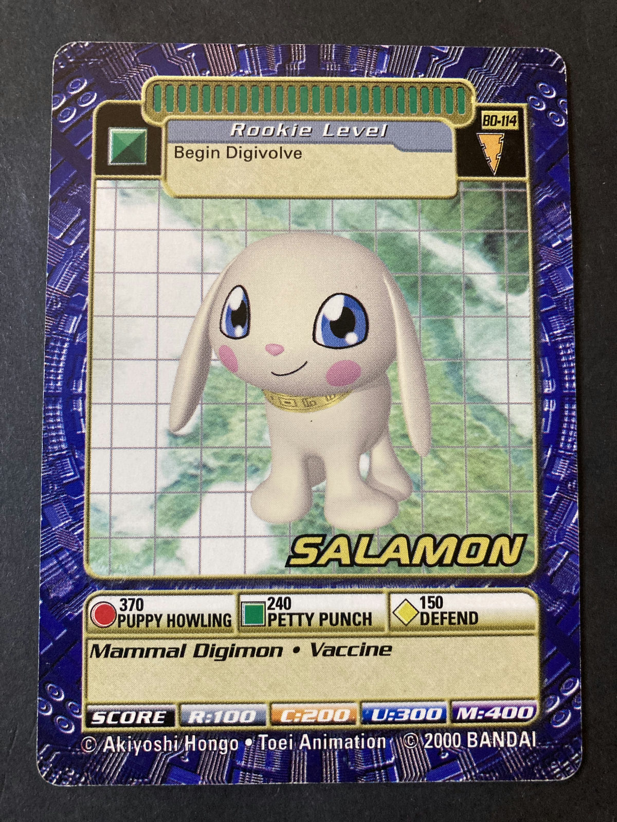 Salamon