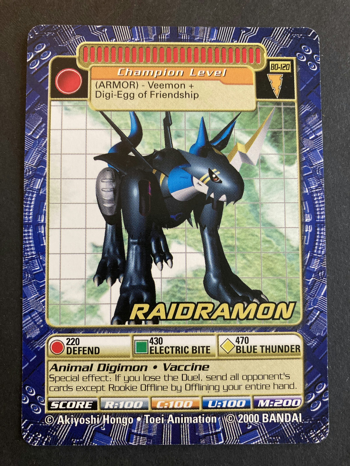 Raidramon