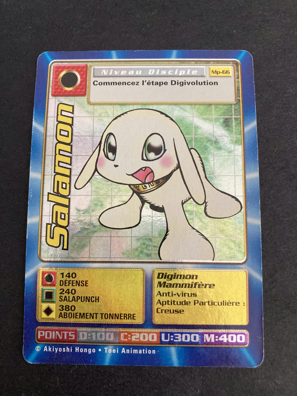 Salamon