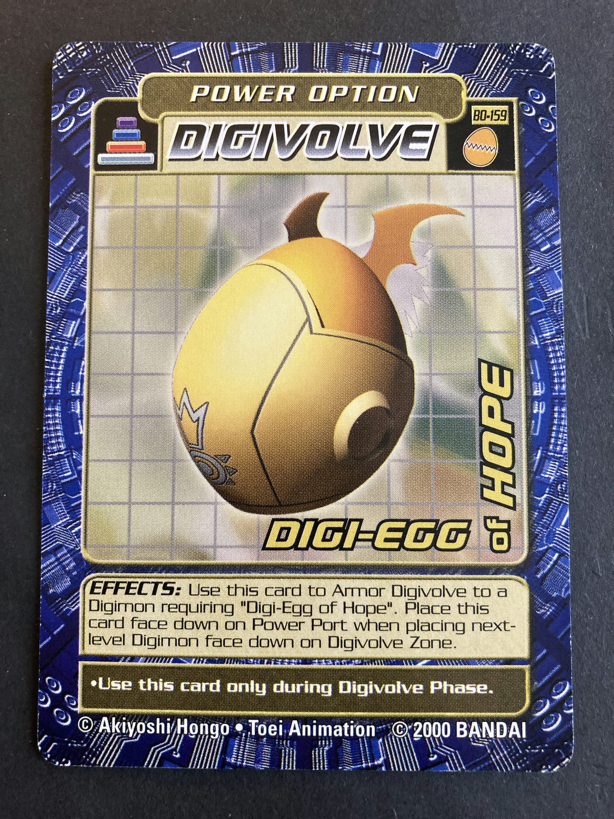 DIGI-EGG of HOPE