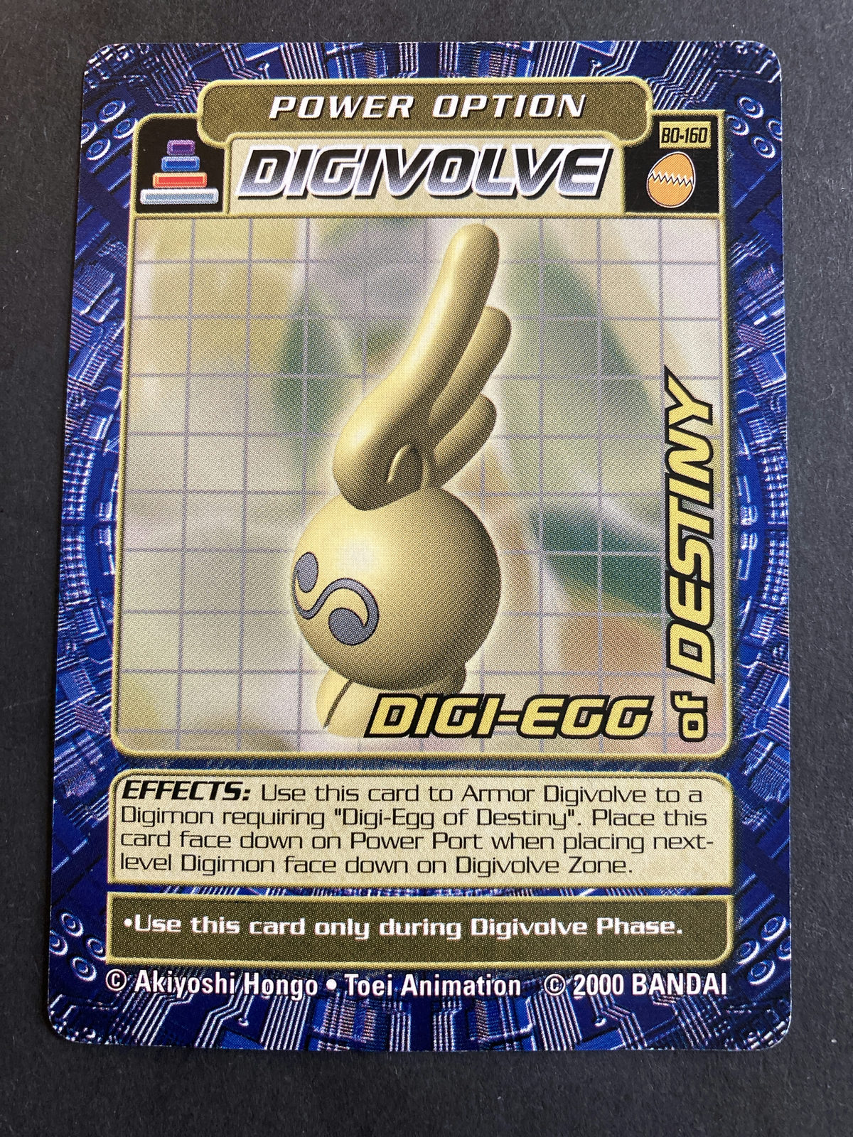 DIGI-EGG of DESTINY