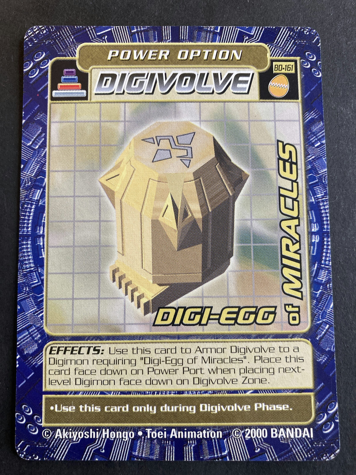DIGI-EGG of MIRACLES