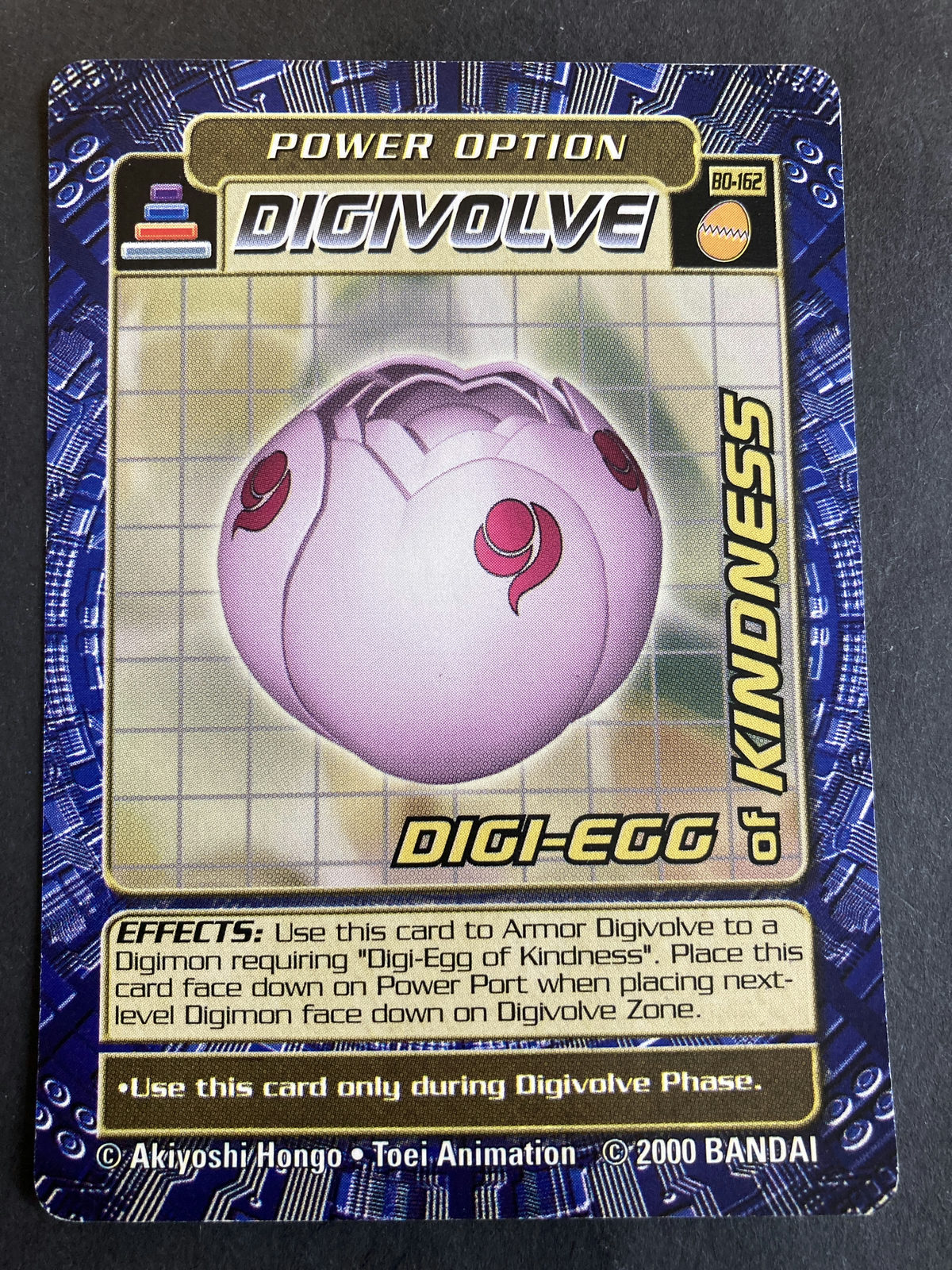 DIGI-EGG of KINDNESS