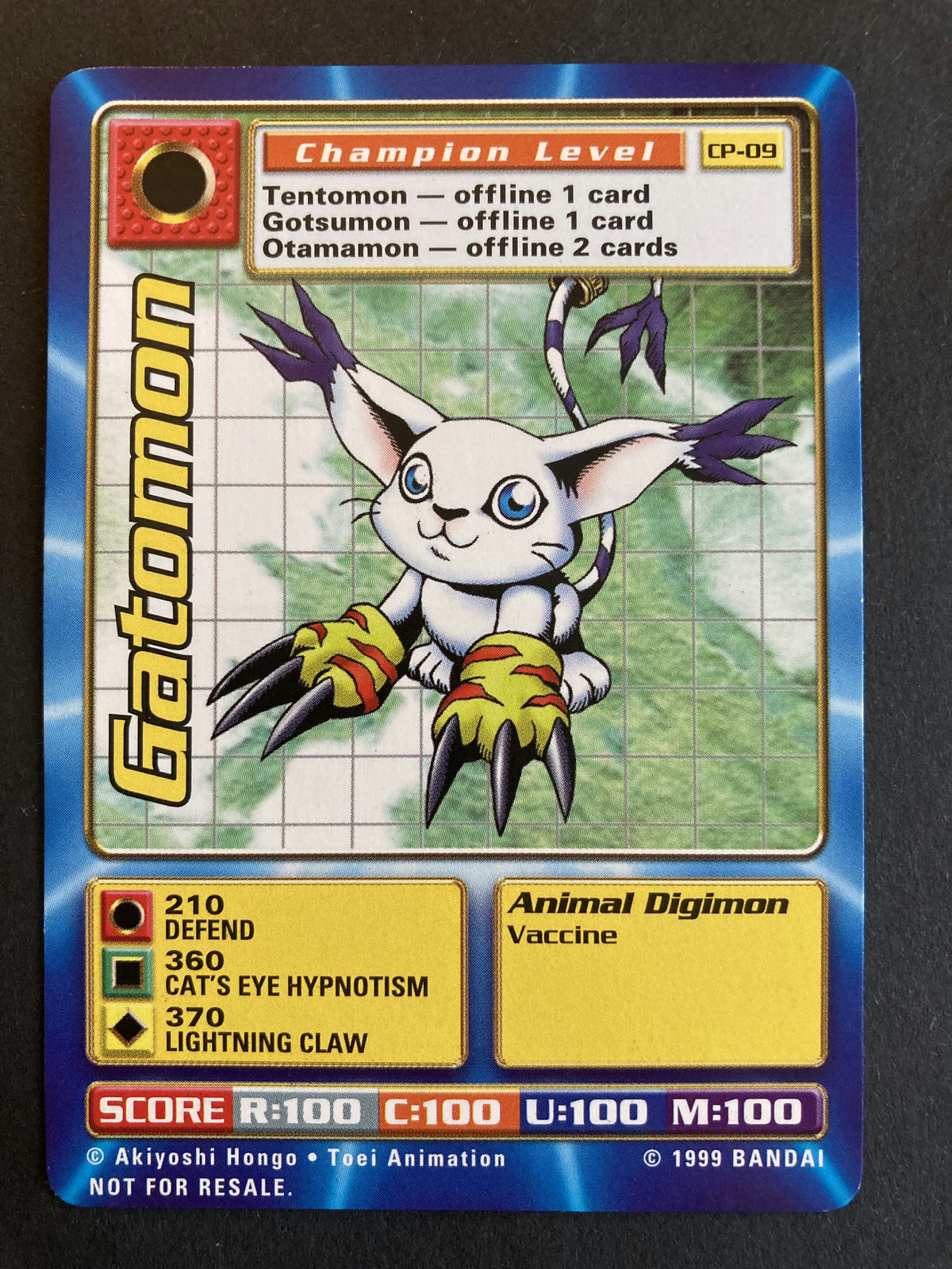Gatomon